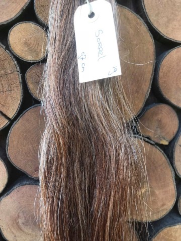 Staartextension Sorrel 19-2